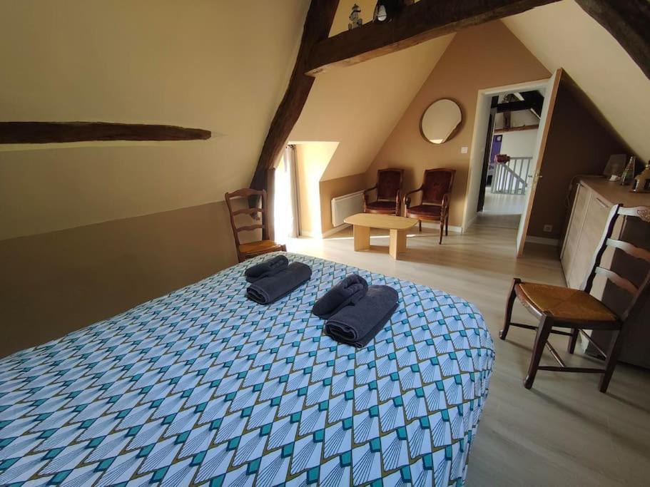 Le Trainefeuilles,confortable,chaleureux,200m Du Zoo Saint-Aignan (Loir-et-Cher)